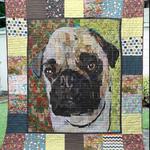 pug the pug face quilt blanket dhc020120259td d2446713