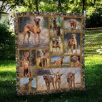 rhodesian ridgeback life quilt tdhmr d2487705