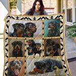rottweiler quilt blanket ph phdog17001 d2451554