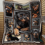 rottweiler rose love nd quilt blanket dhc09121900dd d2446068