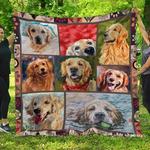 rough collie family rough collie u quilt mt d2488335