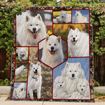 samoyed feel like home quilt blanket dhc31121835td d2447134