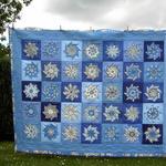 sea stars quilt tdhji d2485859