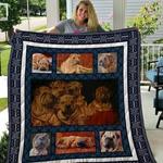 shar pei quilt tdhgn d2486228