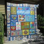 shine on blanket th0107 quilt d2452312