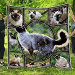 siamese cat quilt tdhdw d2487789