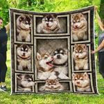 siberian husky puppy quilt quilt d2419865