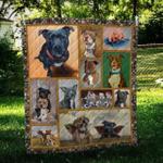 staffordshire bull terrier angel cl10100237mdq quilt blanket d2447750