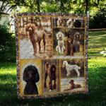standard poodle cute cl10100240mdq quilt blanket d2483677