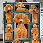 standard poodle quilt blanket dhc150120700td d2446907