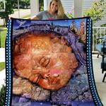 the nativity quilt blanket dhc1401895vt d2445163