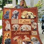 tlmus labardor quilt blanket d2450239
