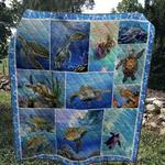 turtle 1103 27 quilt blanket quilt d2415628
