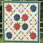 turtle qh300701c tbg quilt blanket d2445563