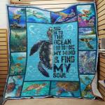 turtle quilt bt011008 quilt d2420191