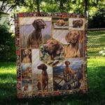 vizsla nature hur quilt bevrjr d2487794
