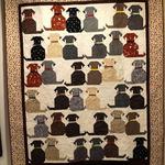 waggly tails quilt blanket dhc310155lt d2447426