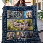 weimaraner v2 quilt blanket d2453288