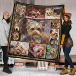 yorkshire quilt blanket dhc09121361dd d2446009