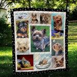 yorkshire terrier look hur quilt bevrnc d2486791