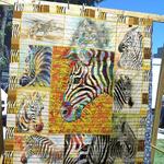 zebra ph090538 quilt blanket d2445491