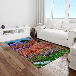 NCAA Clemson Tigers College Sport Basketball And Foolball Team Logo Rectangle Area Rug CT75