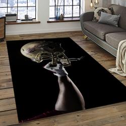 ncaa florida state seminoles sport basketball and foolball team logo rectangle area rug dark room fss33
