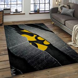 ncaa iowa hawkeyes college sport basketball and foolball team logo rectangle area rug dark room iwh38