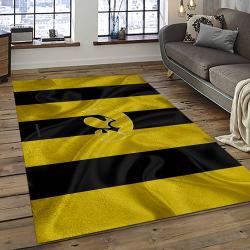 ncaa iowa hawkeyes college sport basketball and foolball team logo rectangle area rug dark room iwh63