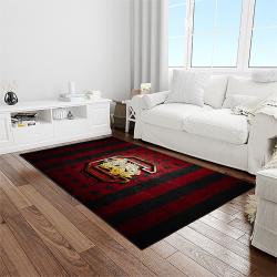 NCAA South Carolina Gamecocks College Sport Basketball And Foolball Team Logo Rectangle Area Rug SCG07