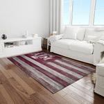 ncaa texas a m aggies college sport basketball and foolball team logo rectangle area rug light room tama28
