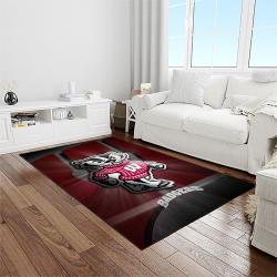 NCAA Wisconsin Badgers College Sport Basketball And Foolball Team Logo Rectangle Area Rug WB26