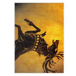 game of thrones house baratheon area rug non slip movie carpet home decor gift for fans gotw96