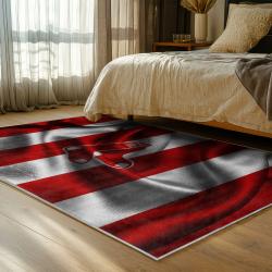 mlb boston red sox baseball team logo sport carpet area rug home decor gift bedroom brs110