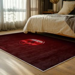 mlb boston red sox baseball team logo sport carpet area rug home decor gift bedroom brs147
