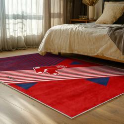 mlb boston red sox baseball team logo sport carpet area rug home decor gift bedroom brs149
