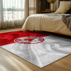 mlb boston red sox baseball team logo sport carpet area rug home decor gift bedroom brs185