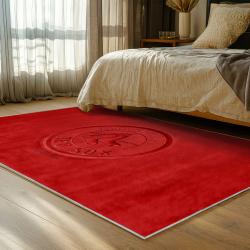 mlb boston red sox baseball team logo sport carpet area rug home decor gift bedroom brs209