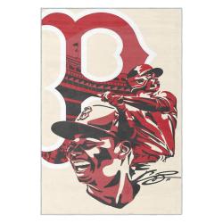 mlb boston red sox baseball team logo sport carpet area rug home decor gift brs113