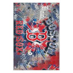 mlb boston red sox baseball team logo sport carpet area rug home decor gift brs116