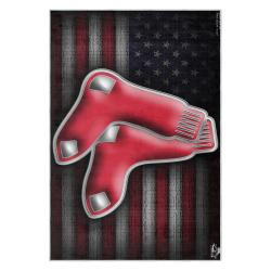 mlb boston red sox baseball team logo sport carpet area rug home decor gift brs120