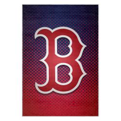 mlb boston red sox baseball team logo sport carpet area rug home decor gift brs126