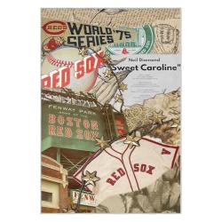 mlb boston red sox baseball team logo sport carpet area rug home decor gift brs135