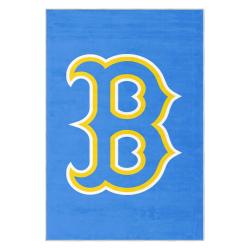 mlb boston red sox baseball team logo sport carpet area rug home decor gift brs143