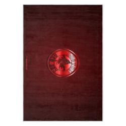 mlb boston red sox baseball team logo sport carpet area rug home decor gift brs147