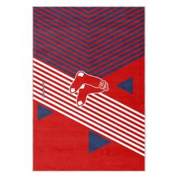 mlb boston red sox baseball team logo sport carpet area rug home decor gift brs149