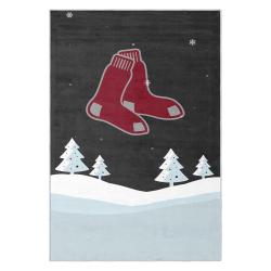 mlb boston red sox baseball team logo sport carpet area rug home decor gift brs152