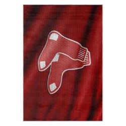 mlb boston red sox baseball team logo sport carpet area rug home decor gift brs163