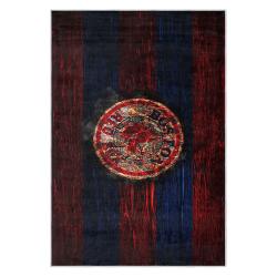 mlb boston red sox baseball team logo sport carpet area rug home decor gift brs164