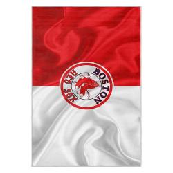 mlb boston red sox baseball team logo sport carpet area rug home decor gift brs185